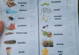 Karta pracy z oznakami jesieni