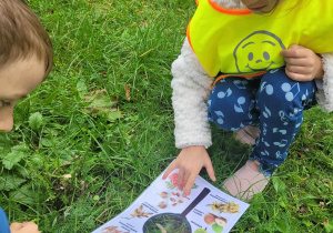 Dziewczynka przez papierową lupę ogląda znaleziony dar natury