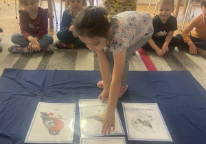 Dziewczynka kładzie ilustrację ptaka sikorki