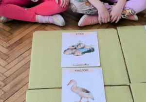 Dziewczynki ułozyły rodzinę zwierząt oraz ich dom - kaczka