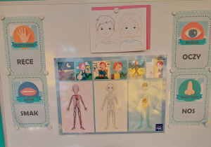 na tablicy umieszczone są ilustrace przedstawiajaće elemnty ludzkiej twarzy