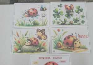 Ułożona historyjka obrazkowa o biedronce Bibi