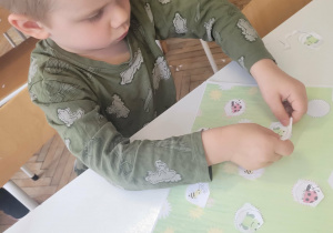 Chłopiec nakleja zierzęta łakowe na kartę pracy