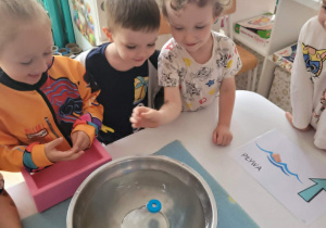 Chlopie wklada do miski z wodą drewniany krążek