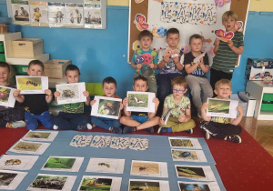 chłopcy prezentują ilustracje łąkowych owadów