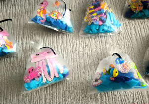 Ocean zamknięty w woreczku