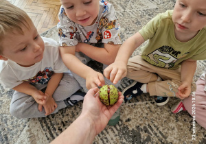 dzieci oglądają kasztana
