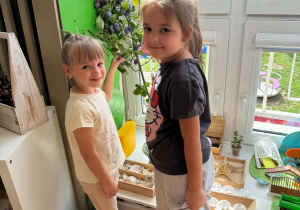 dwie dziewczynki stoją przy gałęziach ze śliwkami