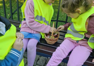 dziewczynki zaglądają do koszyka