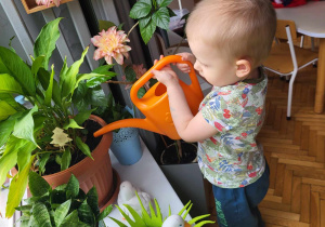 chłopiec podlewa z konewki rośliny w kąciku przyrodniczym