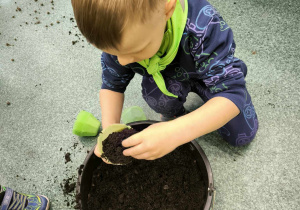 chłopiec napełnia pojemnik ziemią ogrodniczą