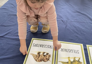 Dziewczynka uklada ilustrację z Triceratopsem