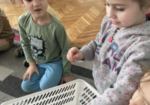 Dziewczynka losuje z koszyczka dinozaura