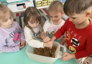 Dzieci wsypują owiec do pojemnika