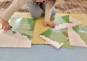 zynka próbuje ułożyć mapę Polski