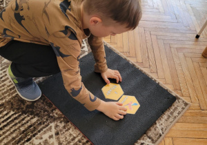 Chłopiec układa plaster miodu