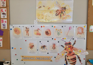 Tablica z ciekawostkami o pszczołach