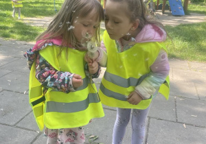 Dziewczynki dmuchają w dmuchawce