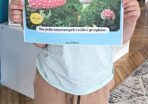 Chłopiec pokazuje ilustrację grzyba muchomora