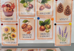 tablica z planszami przedsttawiającymi dary jesieni