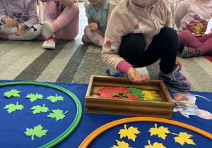 Dziewczynka siedzi przed pudełkiem z liśćmi