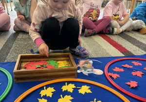 Dziewczynka szuka kolorowych liści