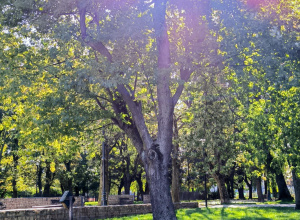 Jesień w parku