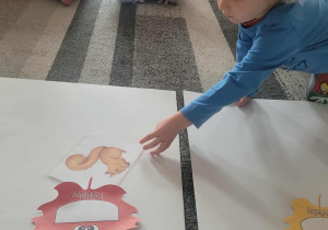 Chłopiec przykłada ilustracje wiewiórki do liścia z trzema sylabami