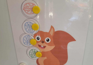 karta pracy z wiewiórką i orzechami