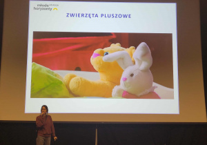 Pzytulanki panna Królik i lew Leo