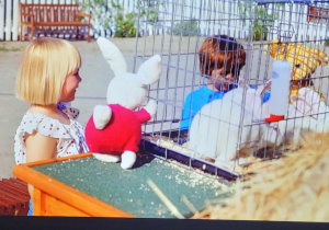 Emma i Kacper obserwują króliki w klatce
