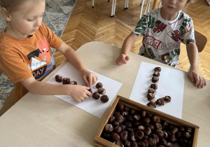 Dzieci układają cyfry z kasztanów