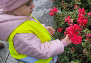 dziecko ogląda keiaty
