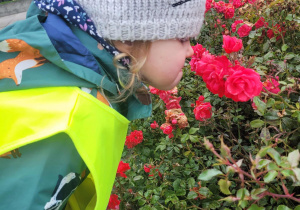 dziecko wącha kwiaty