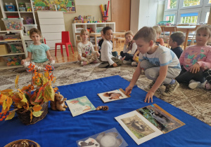 Chłopiec kładzie zdjęcie wiewiórki