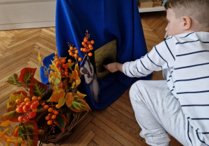 Chłopiec przy norce borsuka