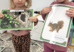 dziewczynki stojąc prezentują ilustrację wiewiórki i dziupli, w której mieszka
