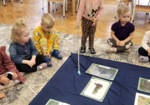 dziecko wskazuje na wybraną ilustrację o której nauczyciel opowiada