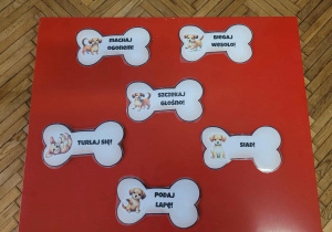 kostki z poleceniami da dzieci