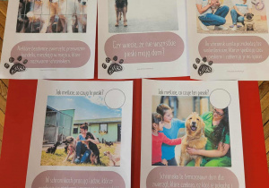 plansze z informacjami na temat schroniska i wolontariuszy