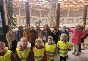 Dziec ipoauja na tle słoni