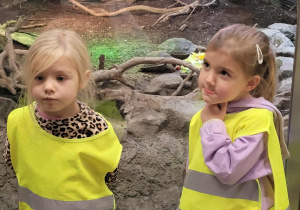 Dziewczynki na tle terrarium z żółwiami