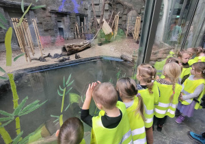 Dzieci oglądają zwierzęta