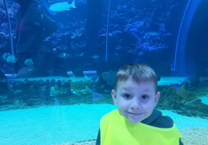 Chłopiec na tle wielkiego akwarium