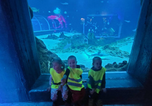 Chłopcy na tle akwarium z rybami