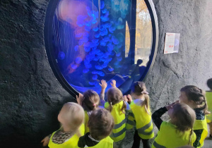 Dzieci oglądają meduzy