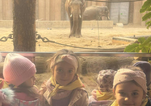 Dzieci na tle idącego słonia