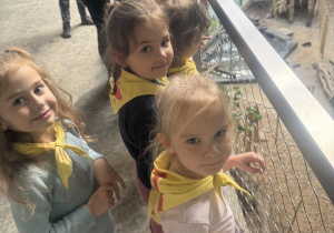 Dzieci z góry oglądają małpy