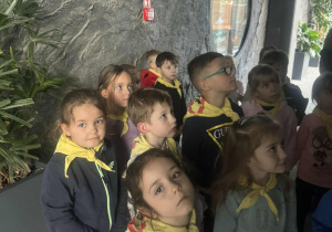 Dzieci oglądają ryby