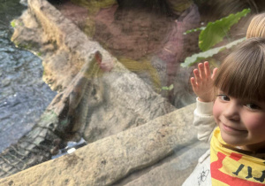 Dziewczynka spogląda na krokodyla